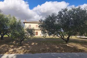 Tenuta agricola panoramica con casa singola e ampi