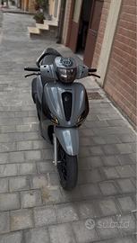 Medley sport 125 2024