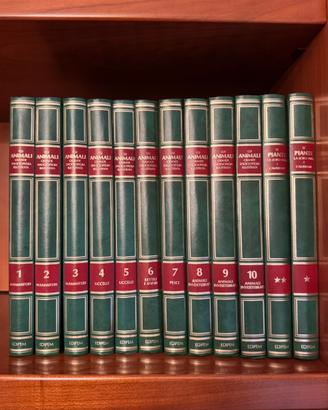 Enciclopedia Gli Animali 12 vol.