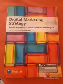 libro universitario digital marketing strategy 