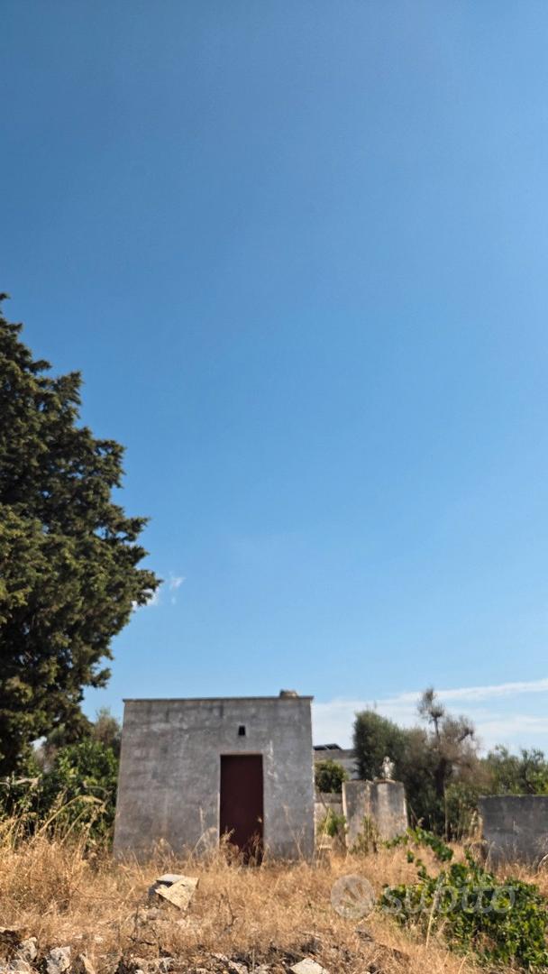 Terreno edificabile con uliveto e fabbricato - Vista 5