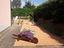 Immagine 10