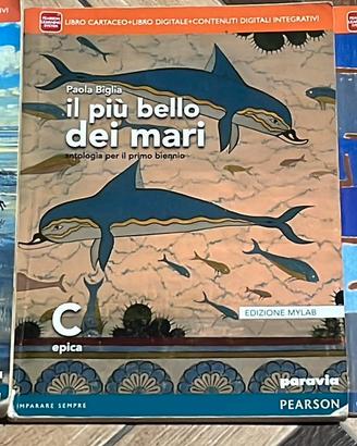 Libro di italiano “il più bello dei mari” C