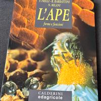 L’ape forme e funzioni