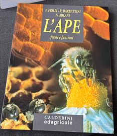 L’ape forme e funzioni