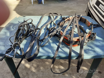 Carrozzino e finimenti