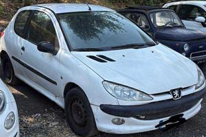 Peugeot 206 autocarro