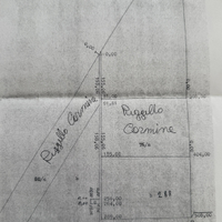 Terreno agricolo pianeggiante Foggia - 30.000mq