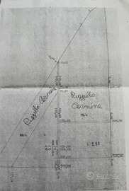 Terreno agricolo pianeggiante Foggia - 30.000mq