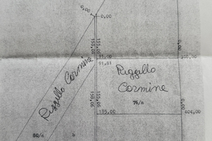 Terreno agricolo pianeggiante Foggia - 30.000mq