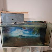 acquaterraio acquario per tartarughe