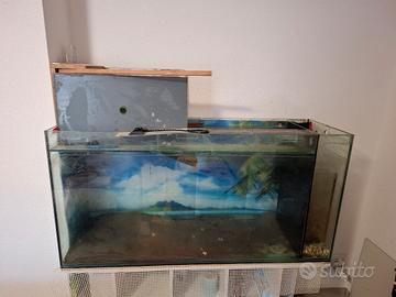 acquaterraio acquario per tartarughe