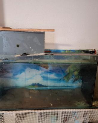 acquaterraio acquario per tartarughe