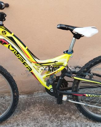 Bici da ragazzino