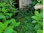 Immagine 19