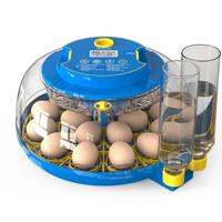 Incubatrice per Uova Automatica: Incubatrice FOFNO