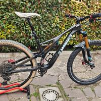 MTB S-Wuorks FSR