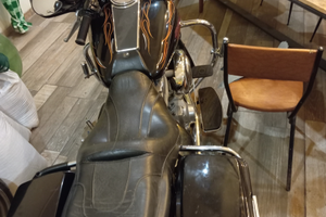 Electra glide standard