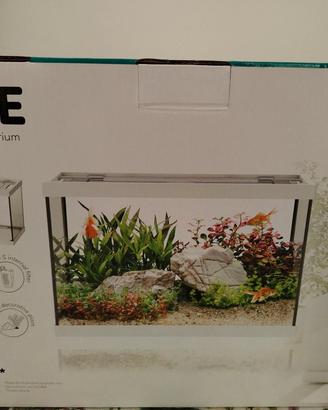 ACQUARIO PER PESCI 