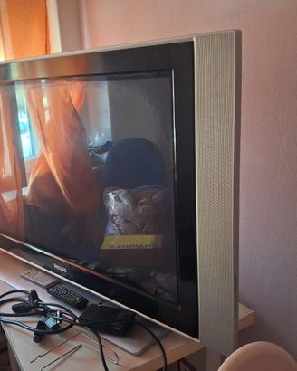 Tv plasma 43 polloci