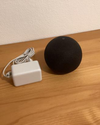 Echo dot