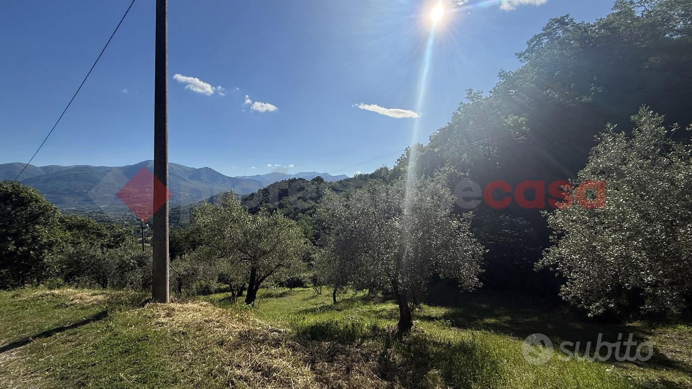 Terreno Agricolo Fumone [Cod. rif 3318314VRG] - View 3