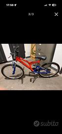 Bici ragazzo 24”
