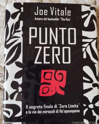 Punto zero Joe Vitale