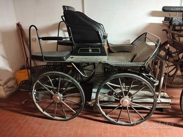 Carrozza modello maratona 