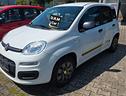 fiat-panda-1-2-easypower-young