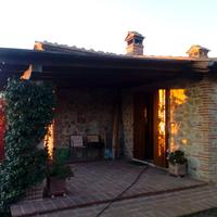 Tettoie e pergole in legno