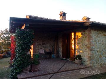 Tettoie e pergole in legno