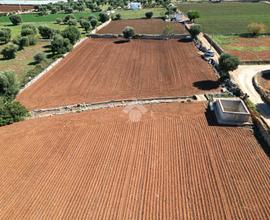 TER. AGRICOLO A POLIGNANO A MARE