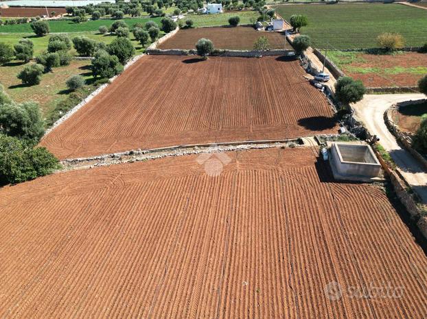 TER. AGRICOLO A POLIGNANO A MARE