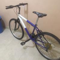 Mtb bimbo 24 pollici