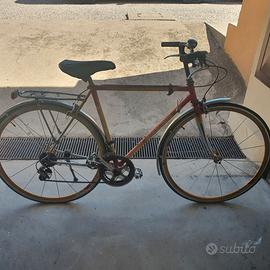 Bicicletta montagne con cerchi gipiemme e cambio g