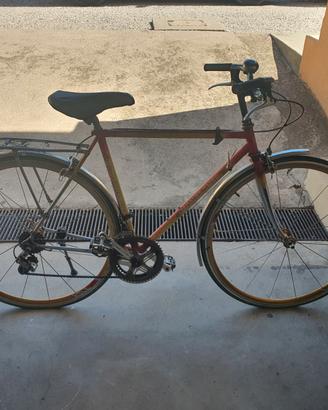 Bicicletta montagne con cerchi gipiemme e cambio g