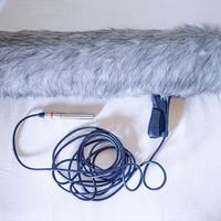 Microfono Sennheiser MKH 816 e Boom Pole Rycote