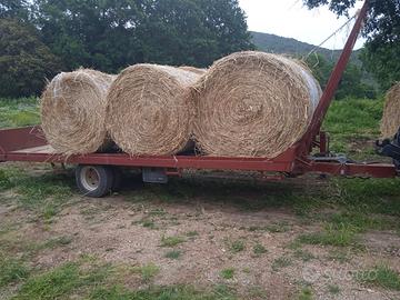 Fieno in rotoballe