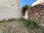 Immagine 13