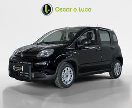 FIAT Panda 1.0 hybrid 70cv