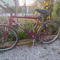 Mountain bike usata