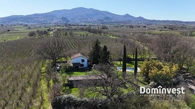 Rustico / Casale di 184 m² con 4 locali a Soriano 