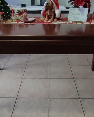 Tavolo sala da pranzo allungabile 