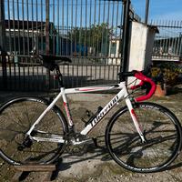 Torpado destriero T1000