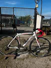 Torpado destriero T1000