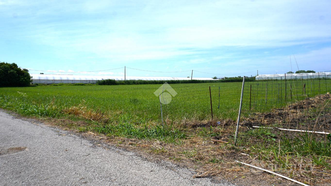TER. AGRICOLO A EBOLI - Vista 2