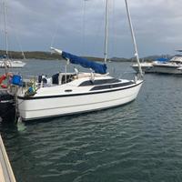 Mac Gregor 26 motorsailer 7.80mt del 2009