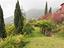 Immagine 9