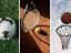 Immagine 5